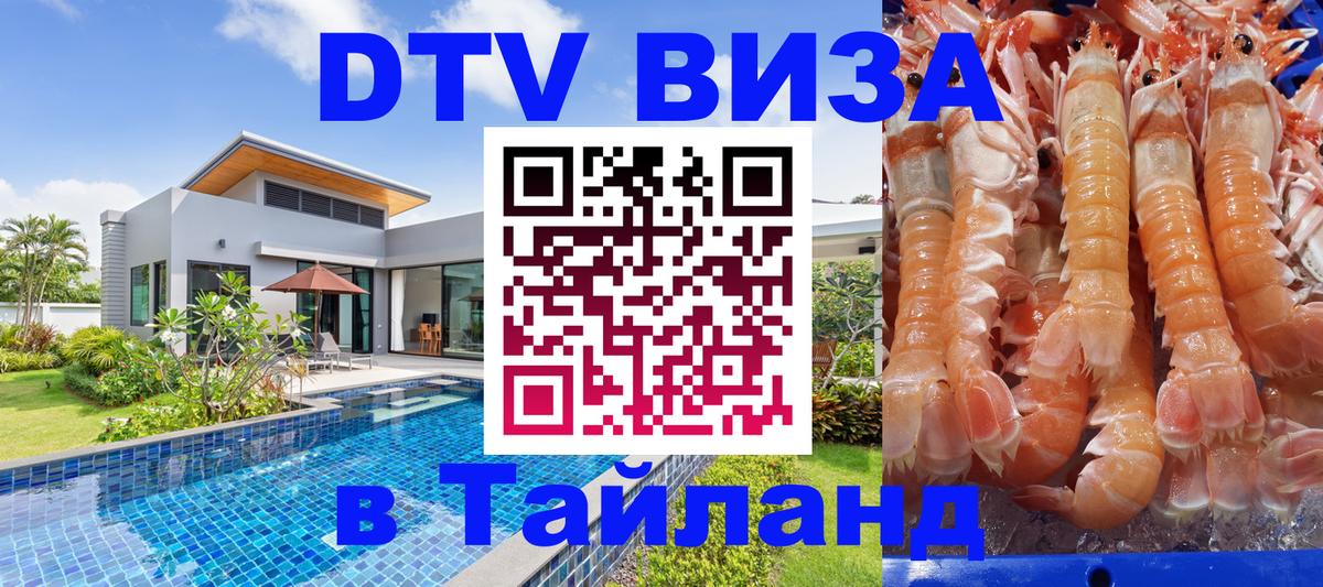 Оформление DTV визы под ключ: стоимость и тарифы, только загранпаспорт - 06.12.2025 